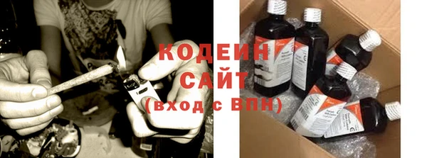 ГАЛЛЮЦИНОГЕННЫЕ ГРИБЫ Щучье