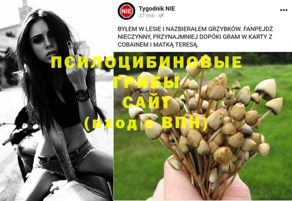 спиды Аркадак
