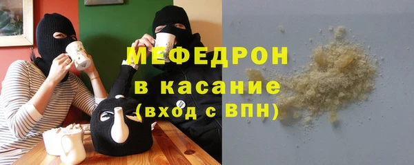 индика Новодвинск