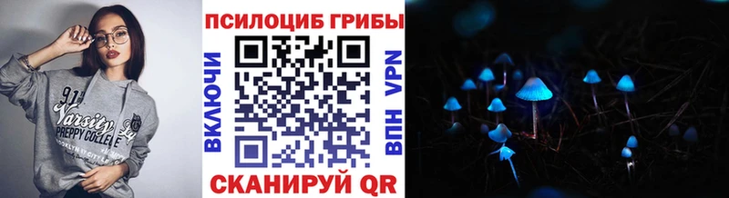Псилоцибиновые грибы мицелий  где купить наркоту  Цимлянск 